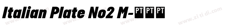 Italian Plate No2 M字体转换